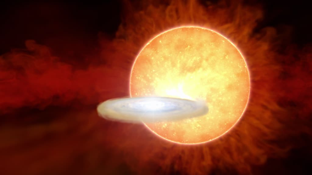 An illustration of a large red giant star beside a small, bright white dwarf wrapped in a disk of gas pulled from the giant